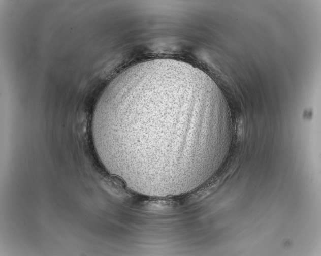X0000090780567200708101835