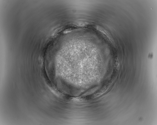 X0000090780568200708101835