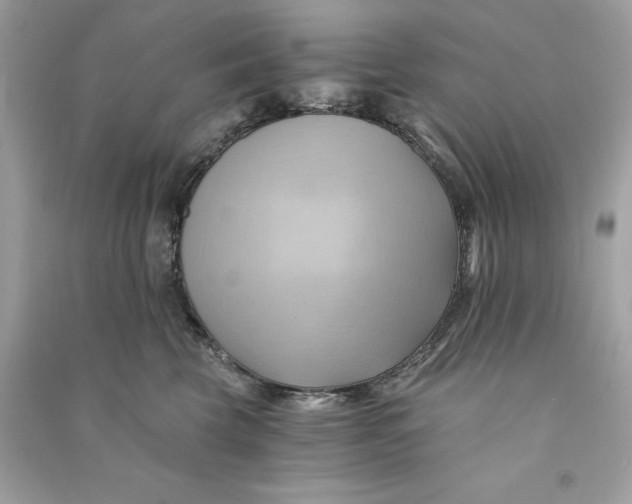 X0000090780569200708101835