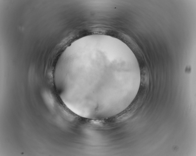 X0000090780573200708101835