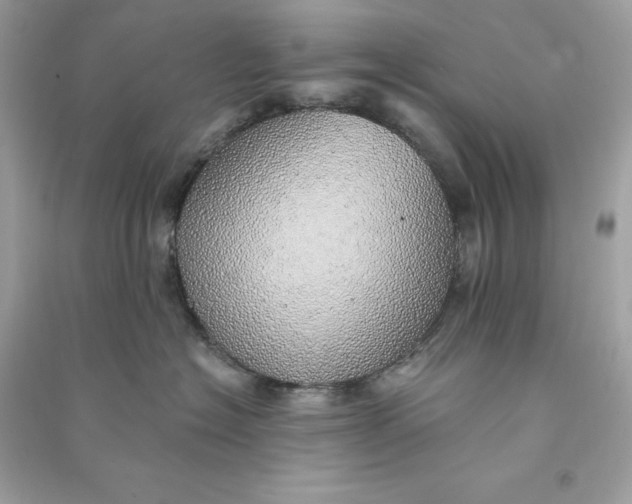 X0000090780574200708101835