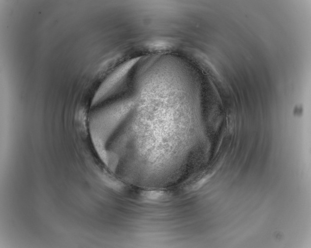 X0000090780575200708101835