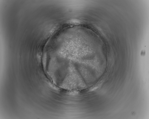 X0000090780576200708101835