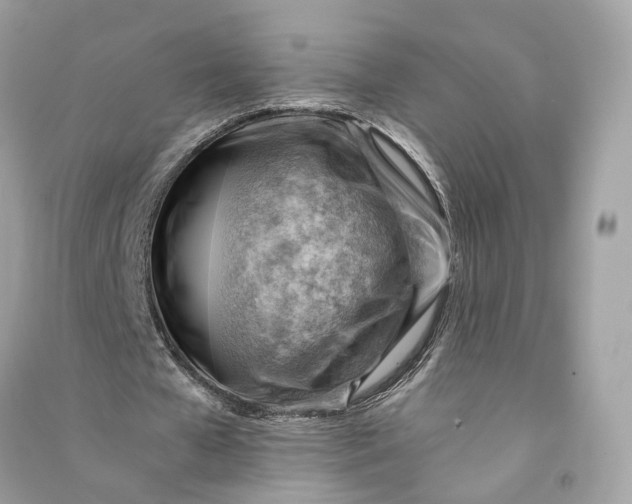 X0000090780577200708101835