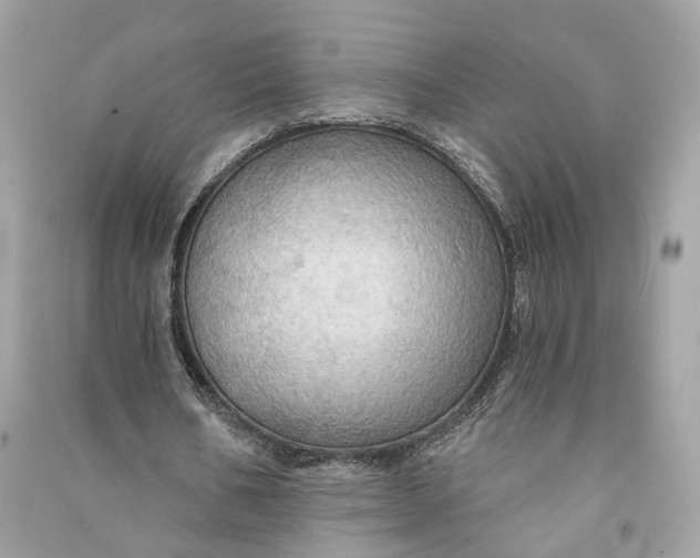 X0000090780578200708101835