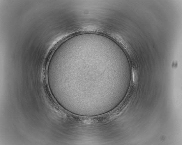 X0000090780579200708101835