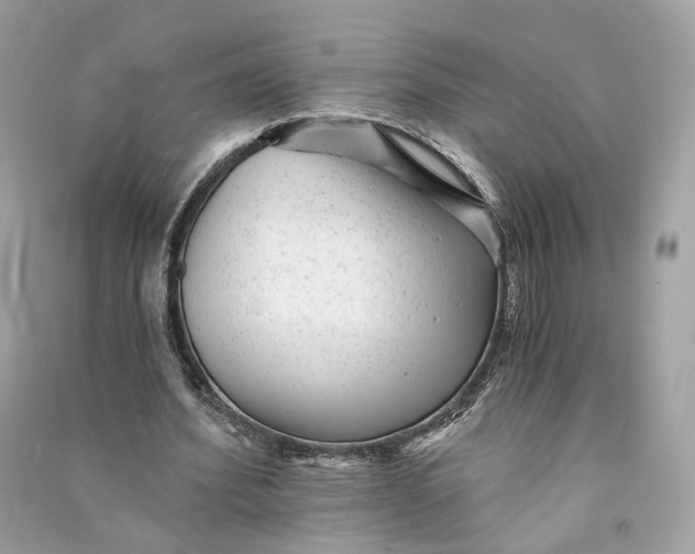 X0000090780580200708101835