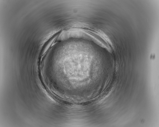 X0000090780581200708101835