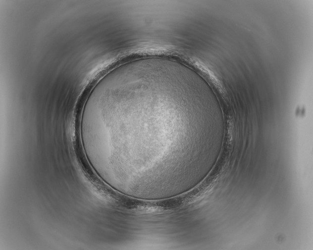 X0000090780582200708101835