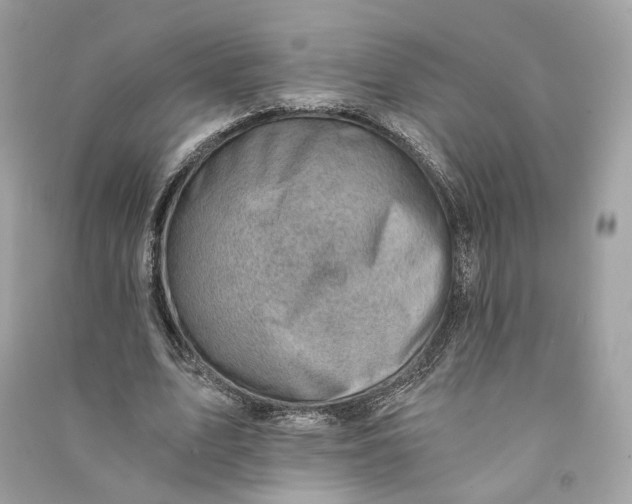 X0000090780583200708101835