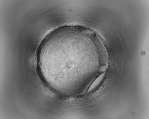 X0000090780584200708101835