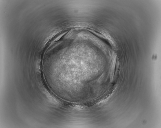 X0000090780585200708101835