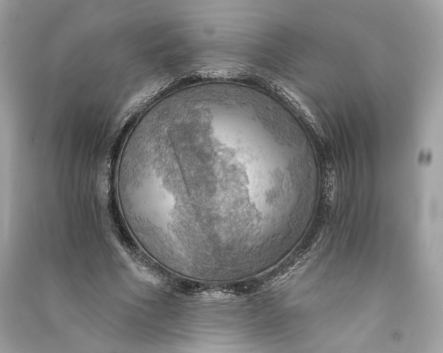 X0000090780586200708101834