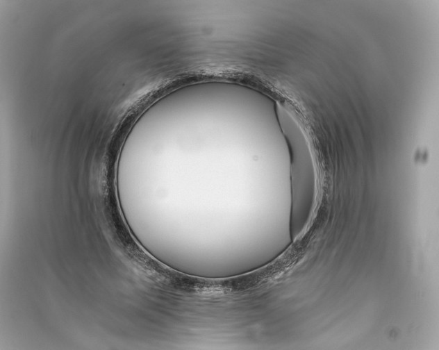 X0000090780587200708101834