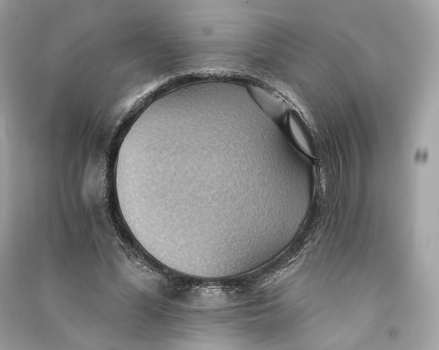 X0000090780588200708101834
