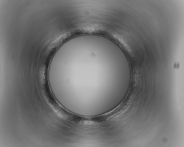 X0000090780590200708101834