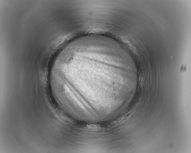 X0000090780591200708101834