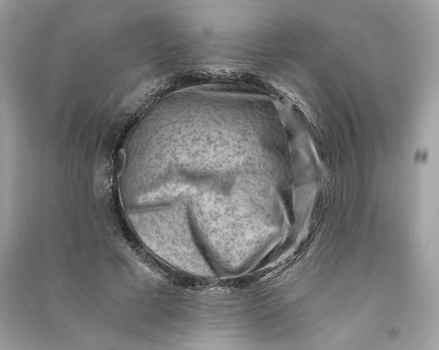 X0000090780593200708101834
