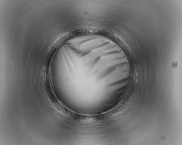 X0000090780594200708101834