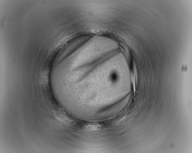 X0000090780595200708101834