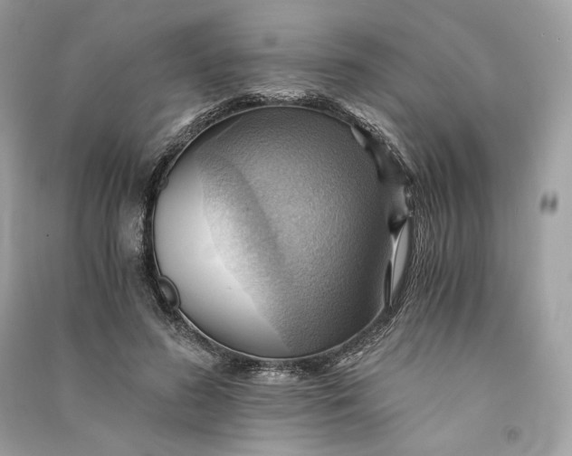 X0000090780596200708101834