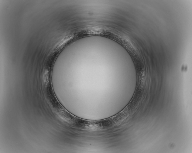 X0000090780598200708101834