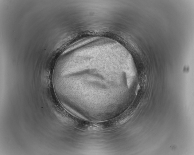 X0000090780599200708101834