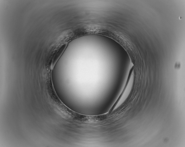 X0000090780601200708101834