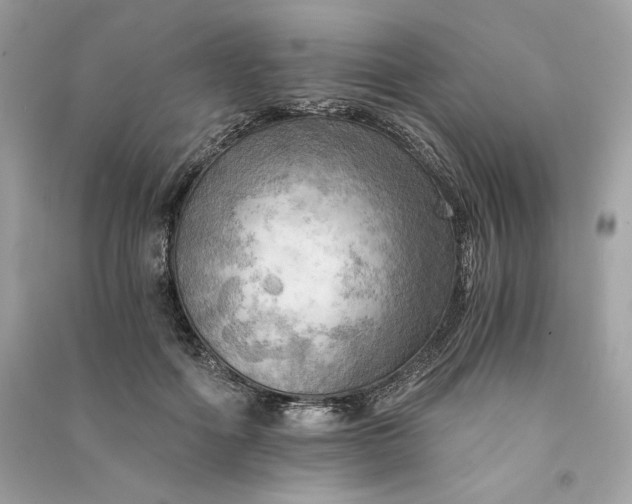 X0000090780602200708101834