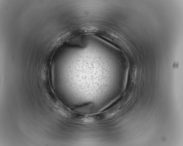 X0000090780604200708101834