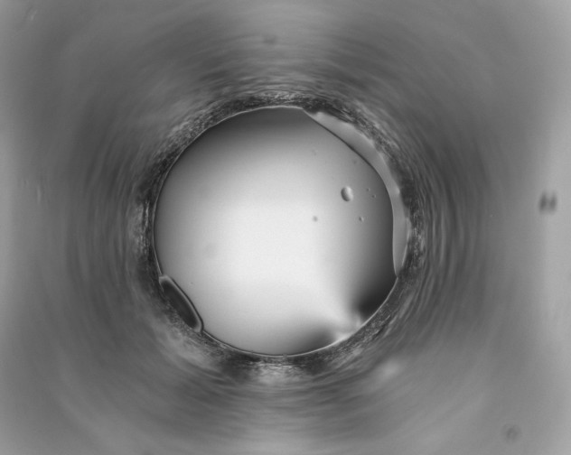 X0000090780605200708101834