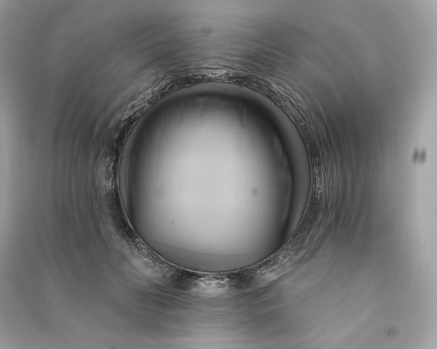 X0000090780606200708101834