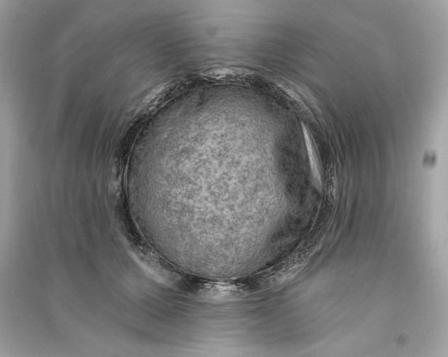 X0000090780607200708101834