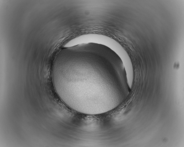 X0000090780608200708101834