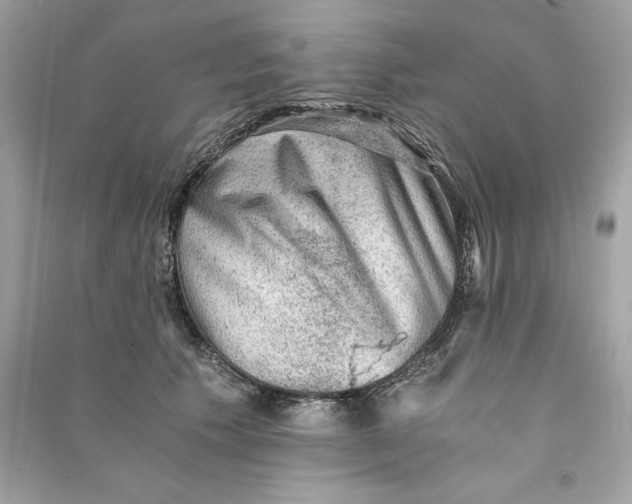 X0000090780609200708101834