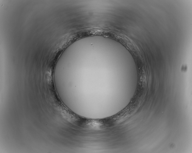 X0000090780610200708101834