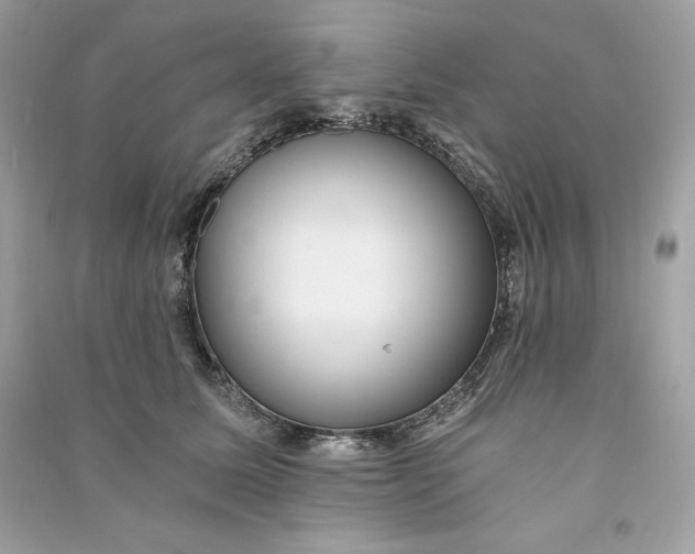 X0000090780611200708101834