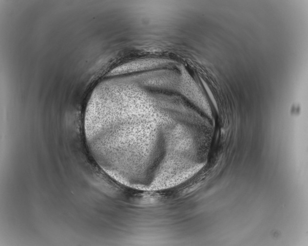 X0000090780612200708101834