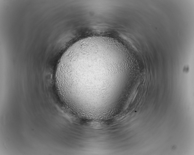 X0000090780615200708101834
