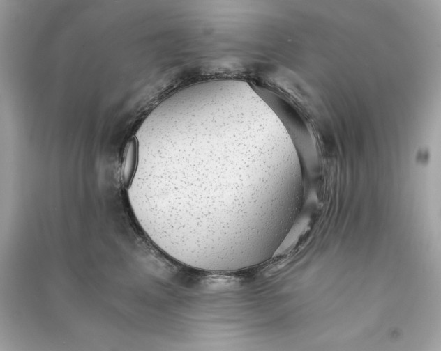 X0000090780617200708101834