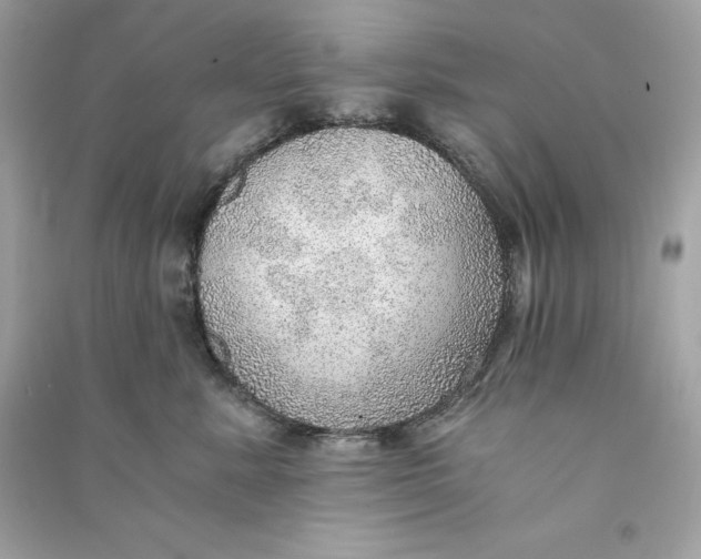 X0000090780619200708101834