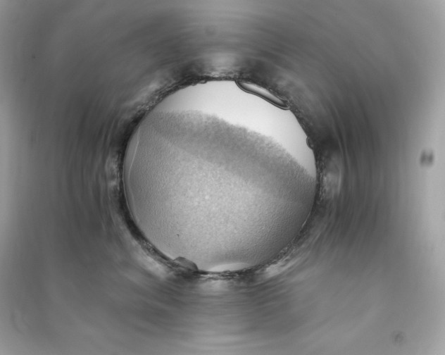 X0000090780620200708101834