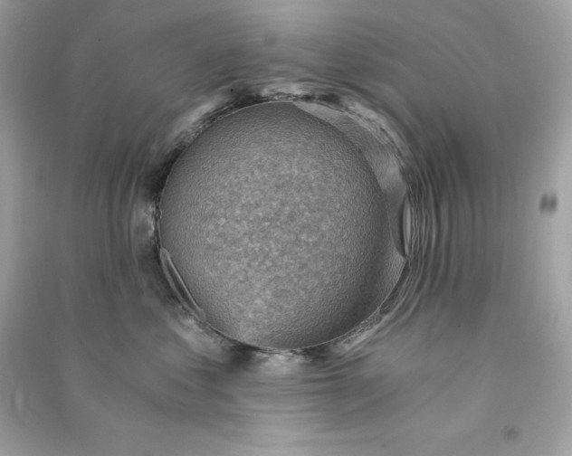 X0000090780621200708101834