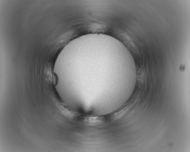 X0000090780622200708101834