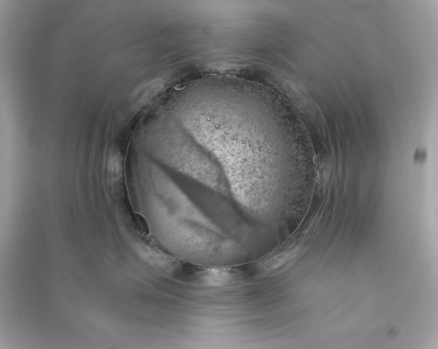 X0000090780623200708101834