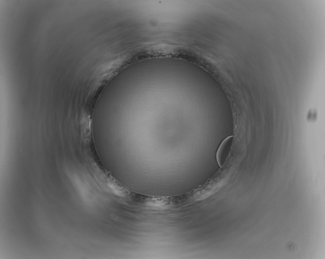 X0000090780624200708101834