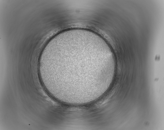 X0000090780625200708101833