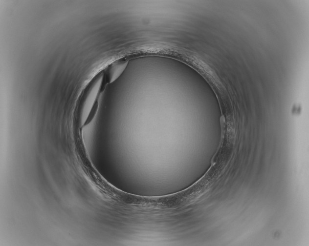 X0000090780626200708101833