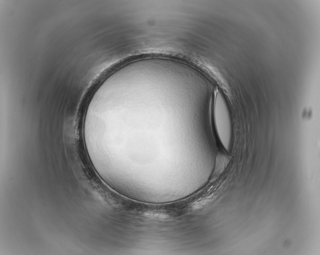 X0000090780628200708101833