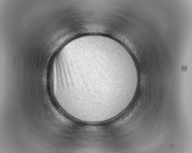 X0000090780629200708101833